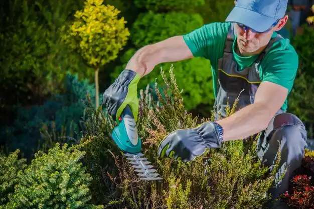 landscaping services Jamestown West
